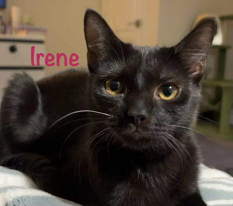 Irene, photo 2