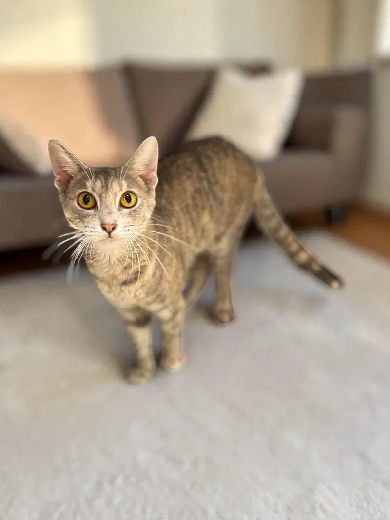 SeaSmoke, photo 2