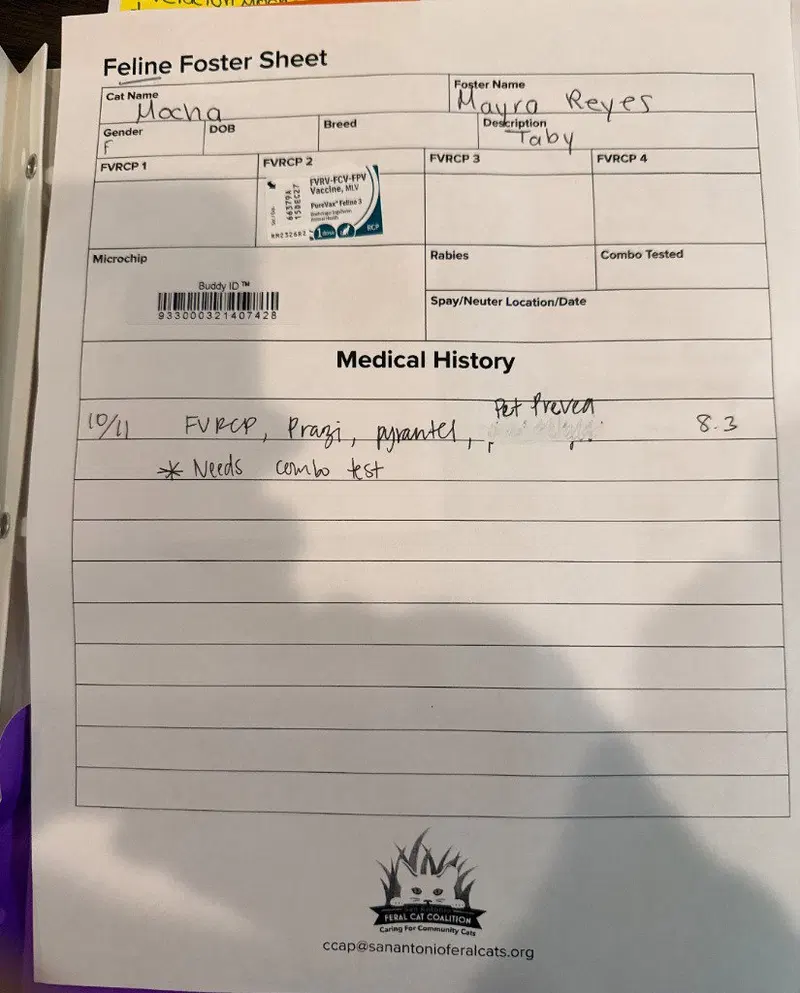 Mocha, photo 2