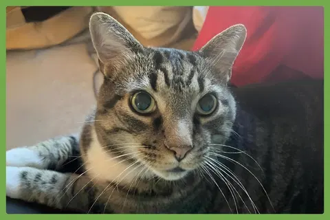 Watch the video of Benny