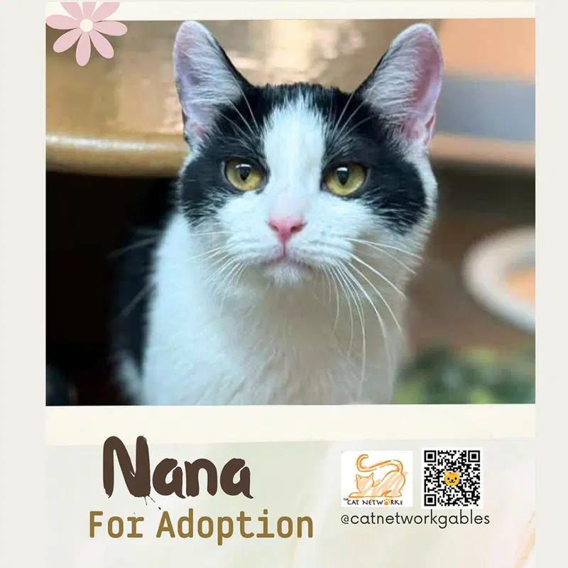 Nana, photo 4