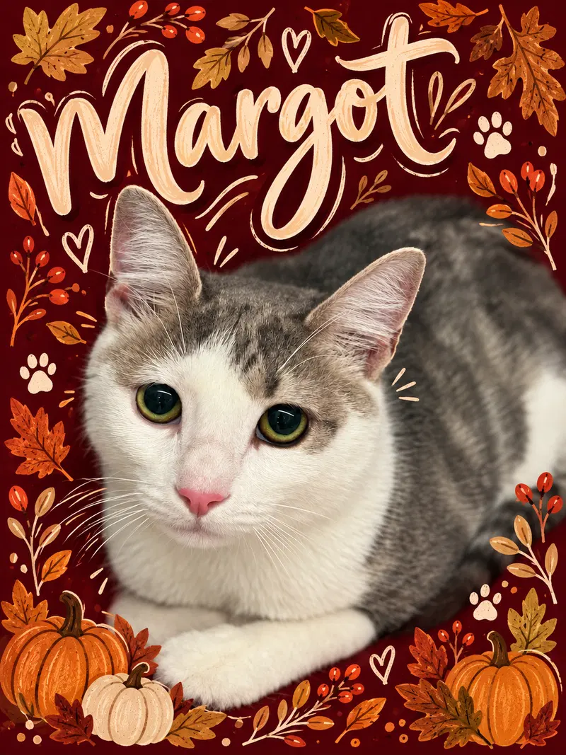 Margot, photo 4