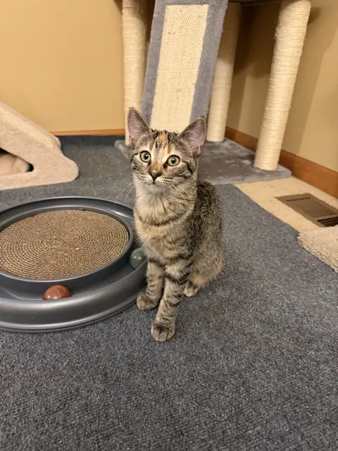 Watch the video of Lexi