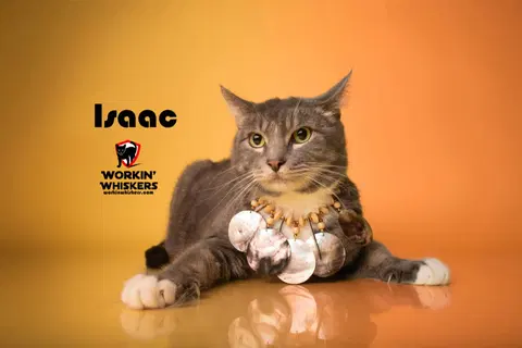 Watch the video of Isaac