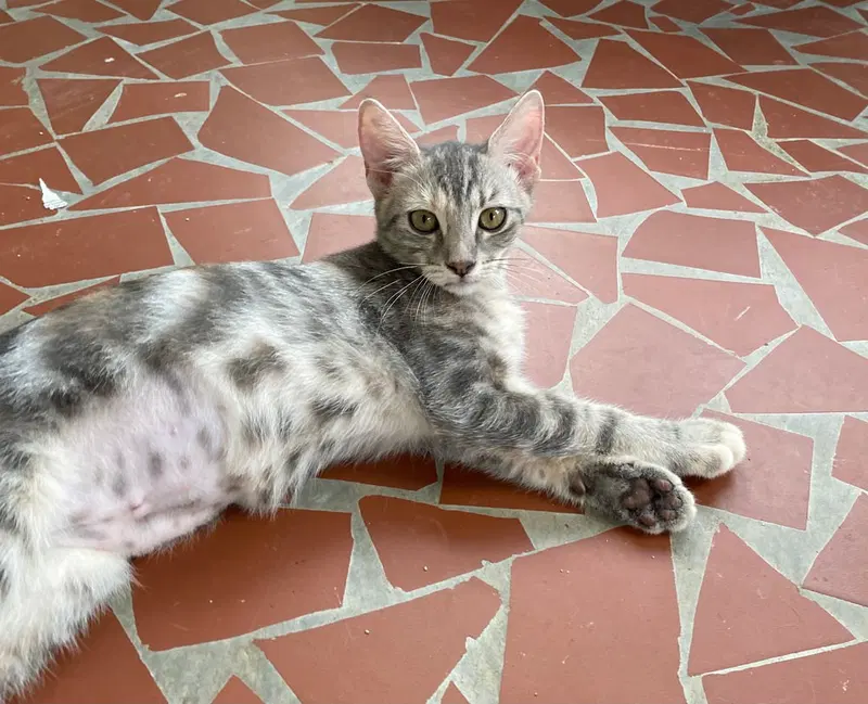 Marble, photo 4