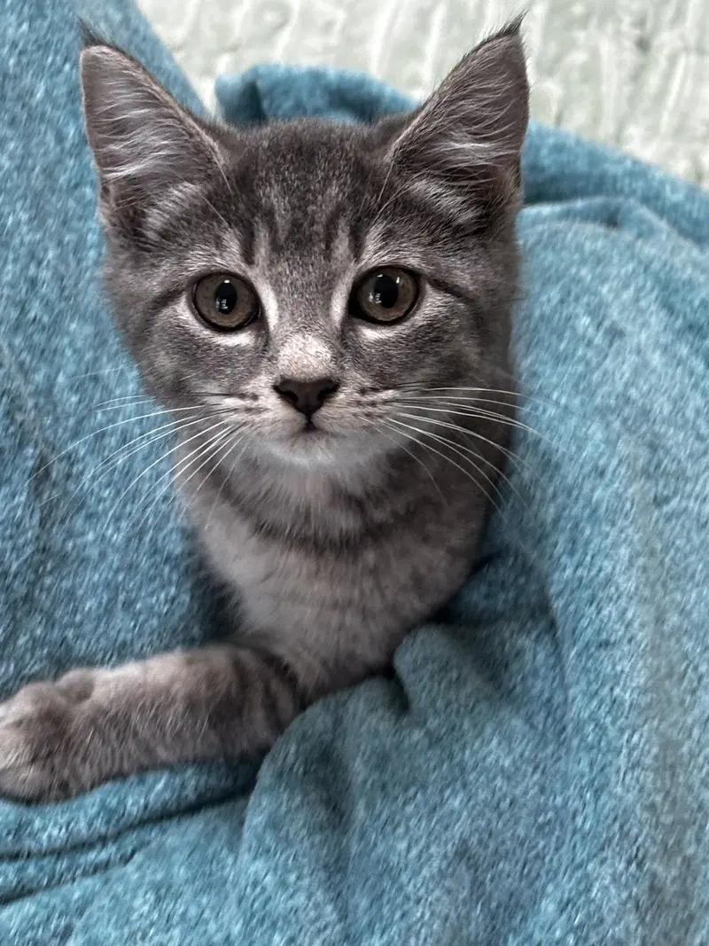 Charlie M, photo 3