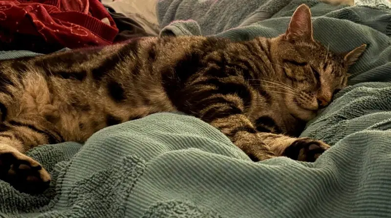 max, photo 2