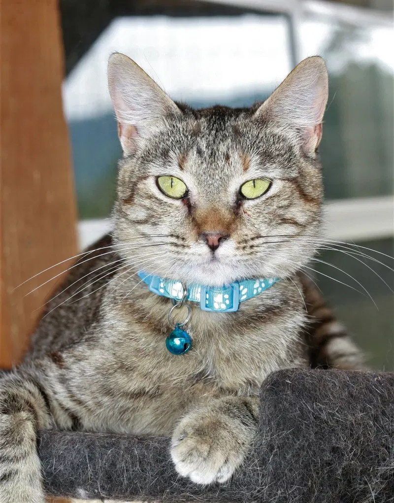 Estella, photo 4