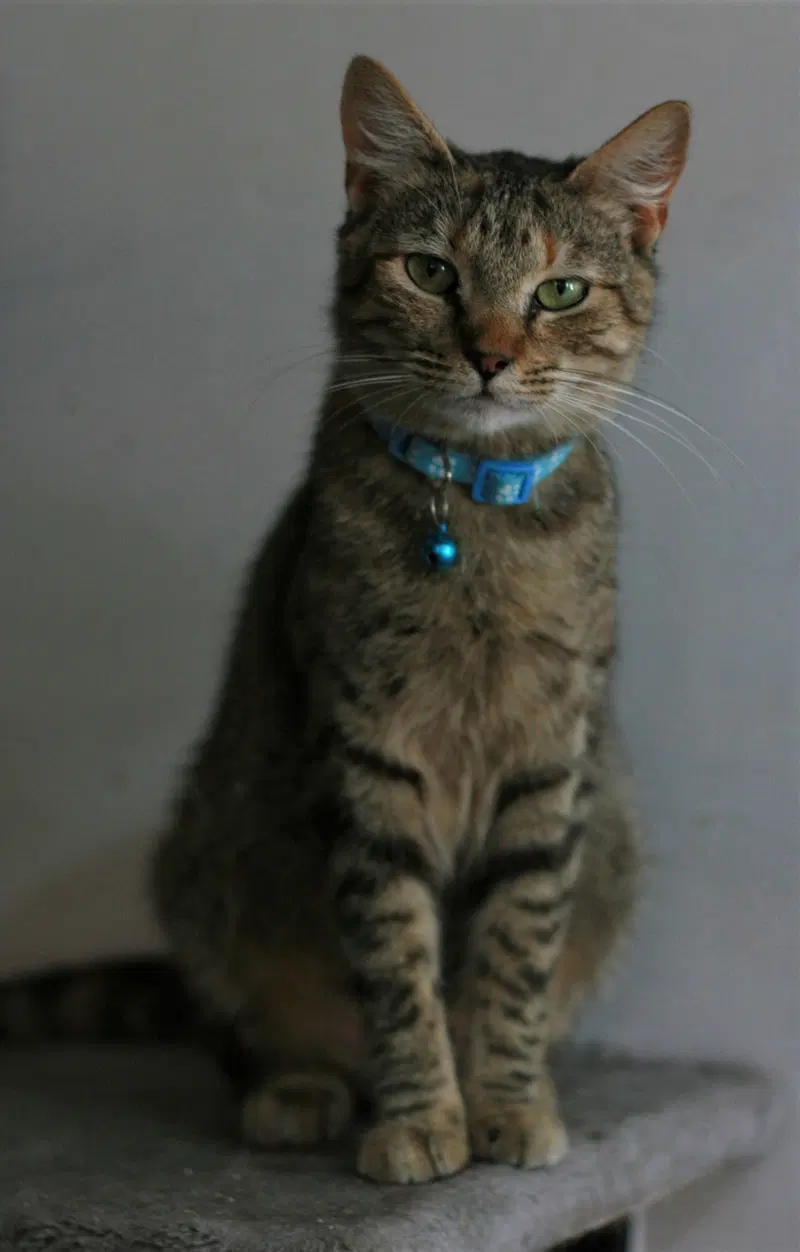 Estella, photo 8