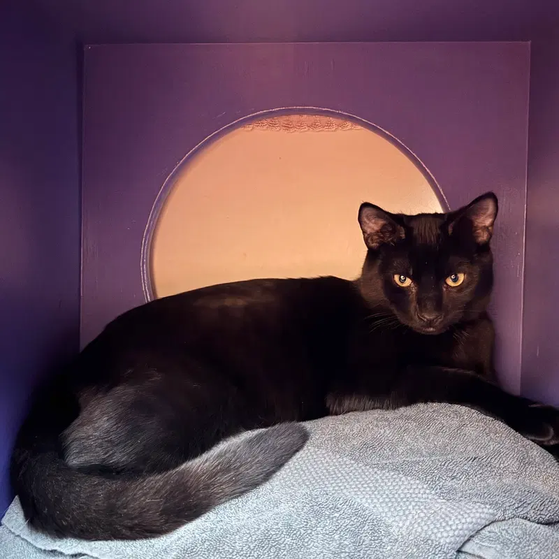 Albert, photo 6