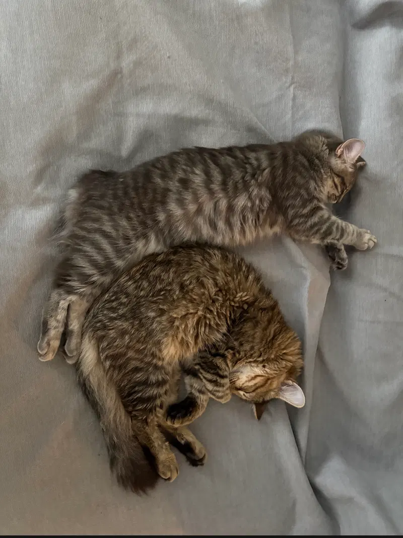 Winnie & Wilfie, photo 4