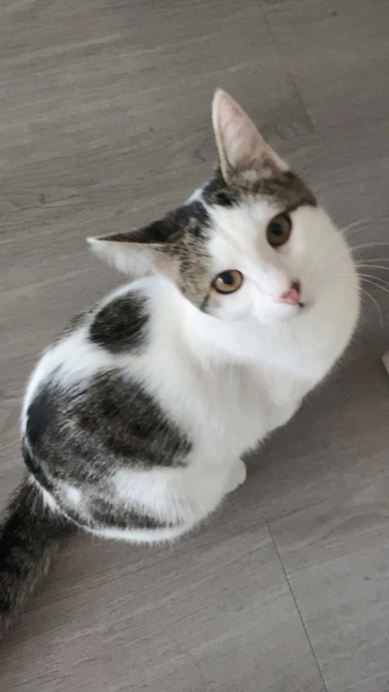 Mimi, photo 2