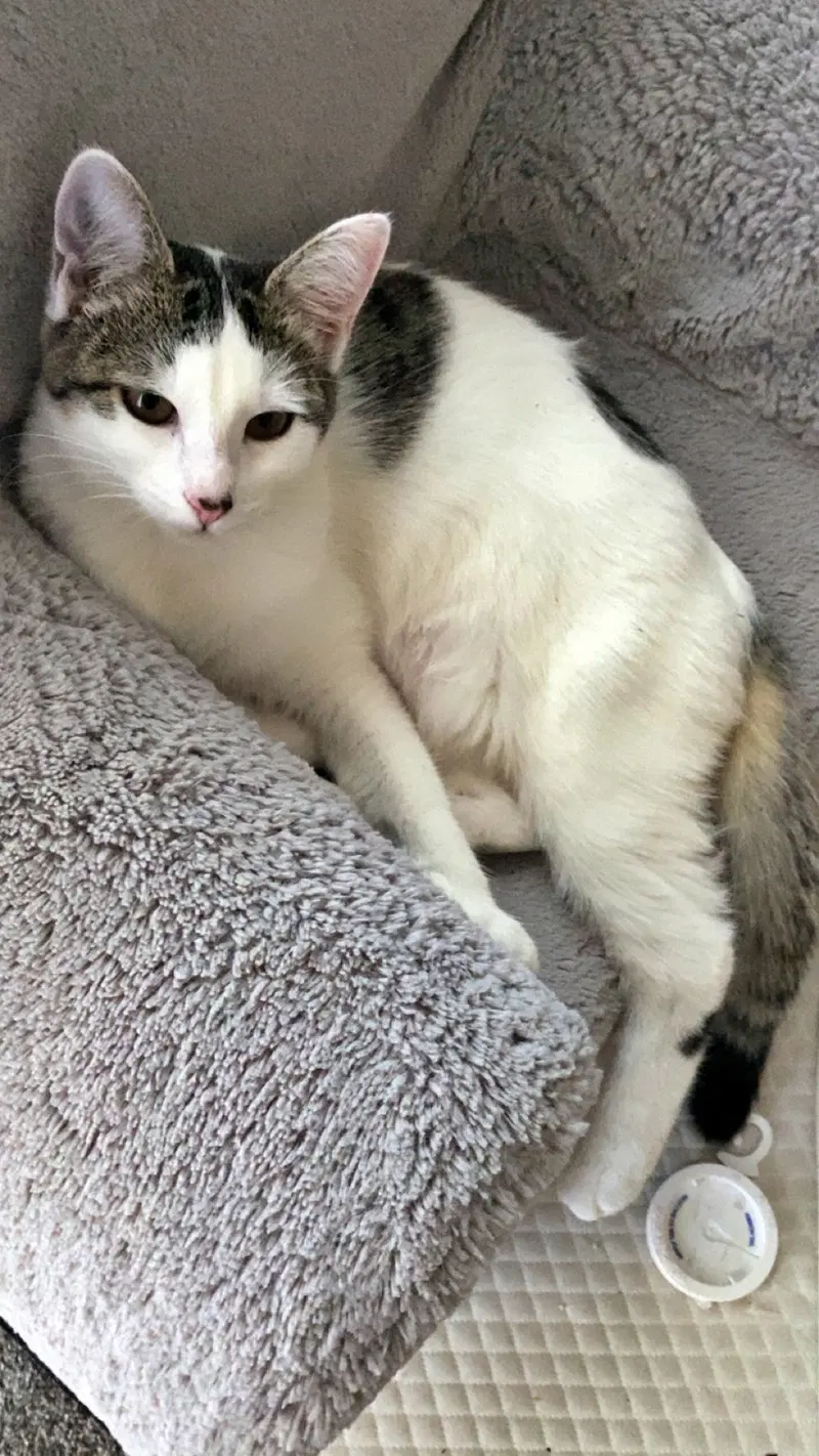 Mimi, photo 3