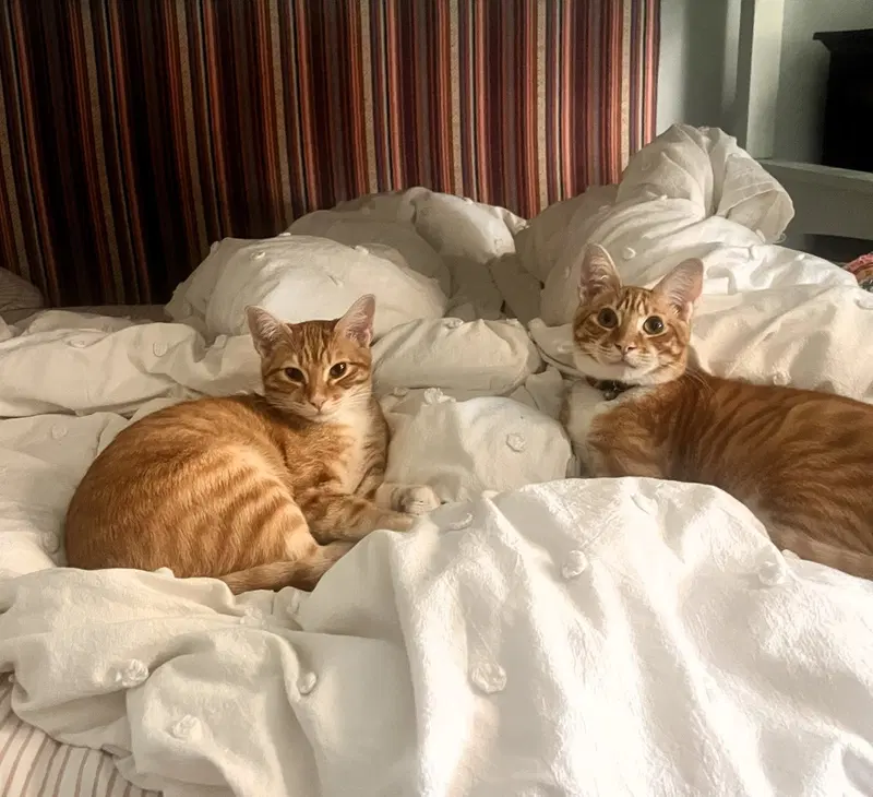 Larry & Gary, photo 4