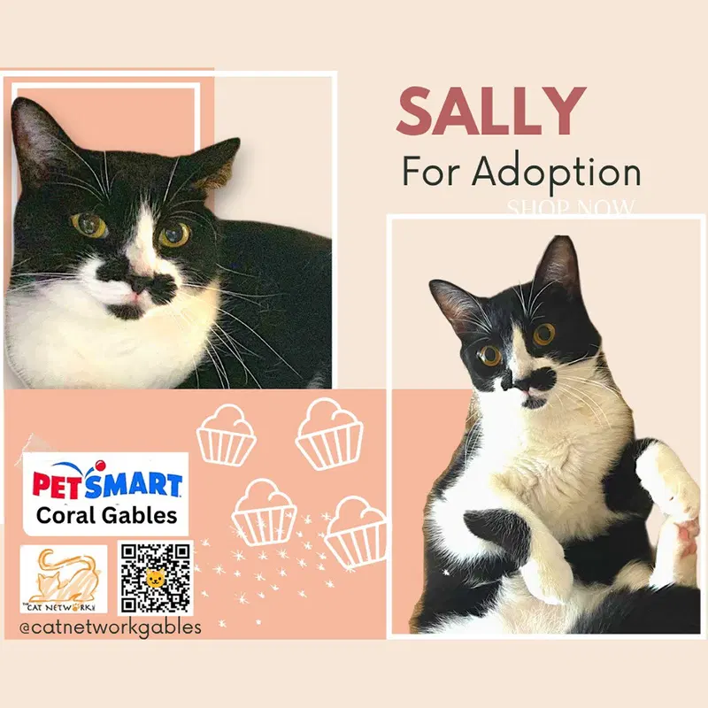 Sally, photo 2