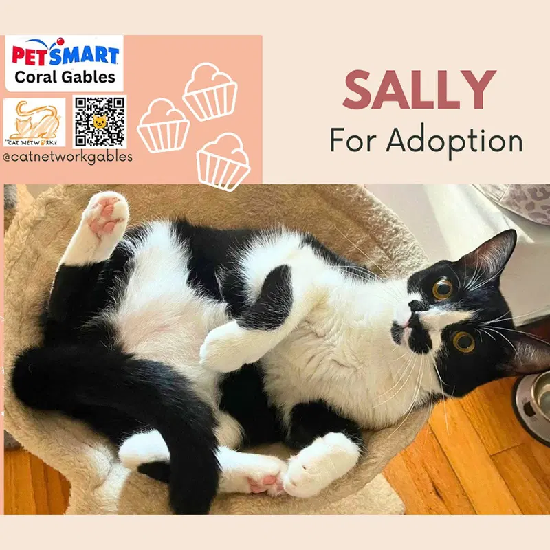 Sally, photo 3