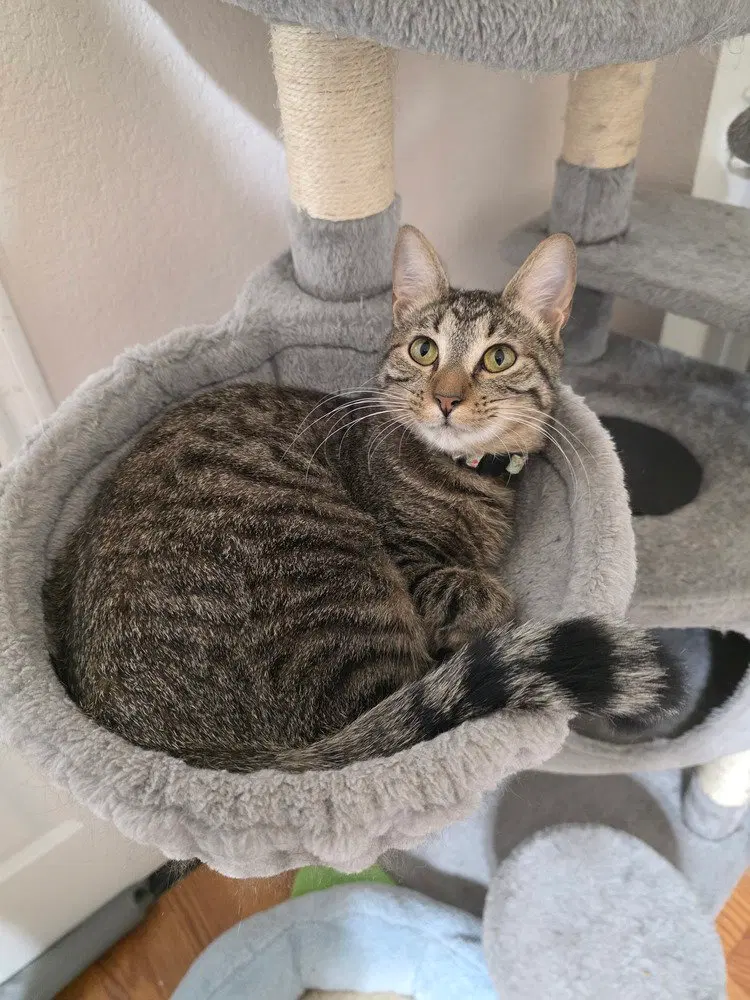 Juno, photo 4