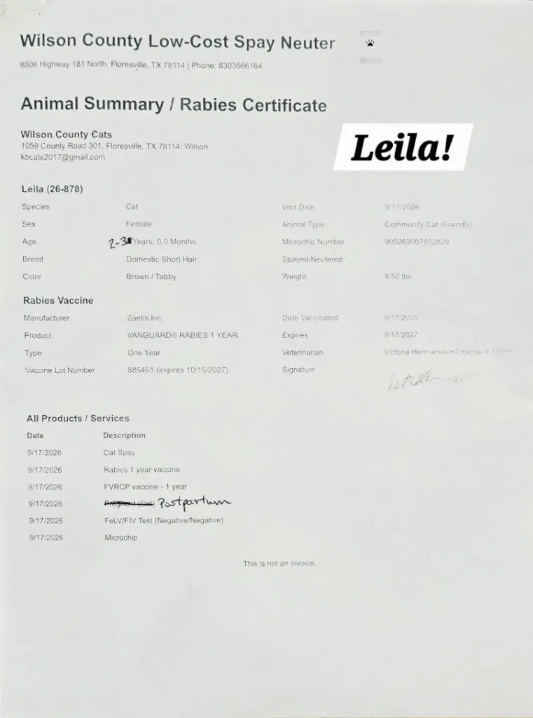 Leila, photo 2