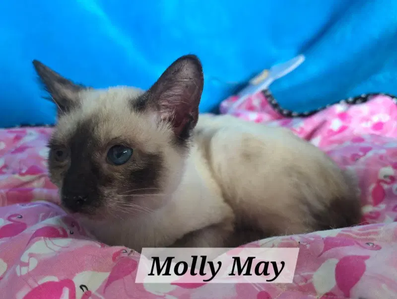 Molly May, photo 2