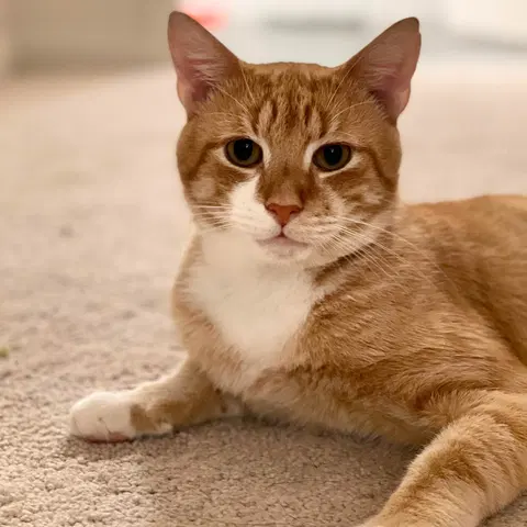 Watch the video of Sid