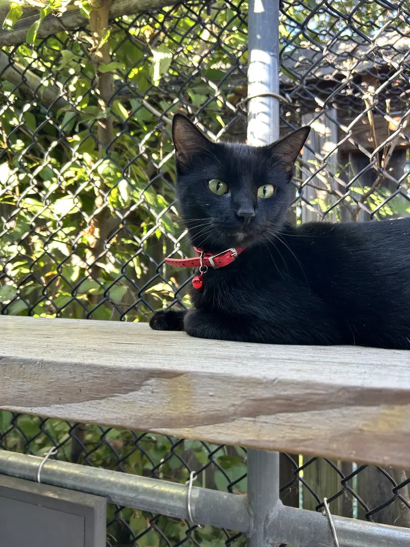 Salem, photo 2