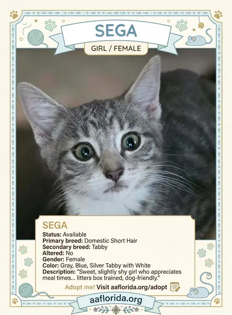 Watch the video of Sega