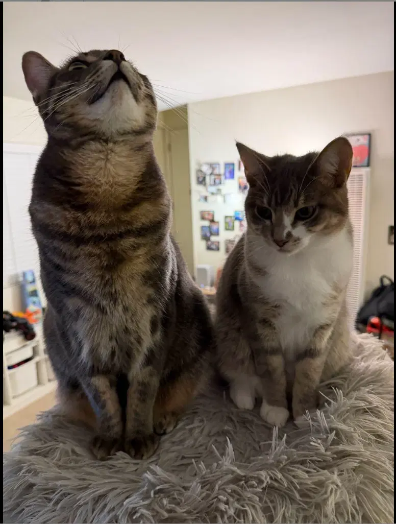 Mia and Leo, photo 2