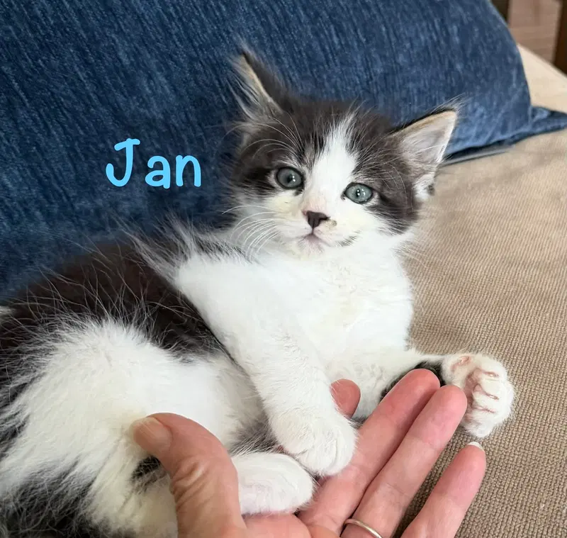 Jan, photo 2