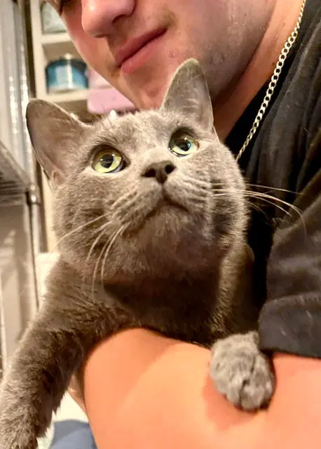 Felix, photo 3