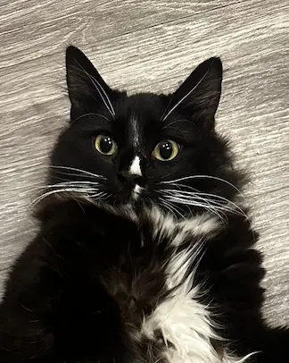 Watch the video of Smalls