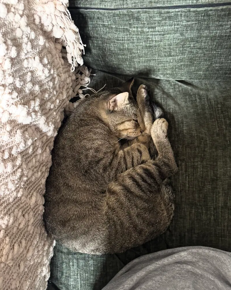 Bubba, photo 2