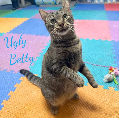 Watch the video of Ugly Betty