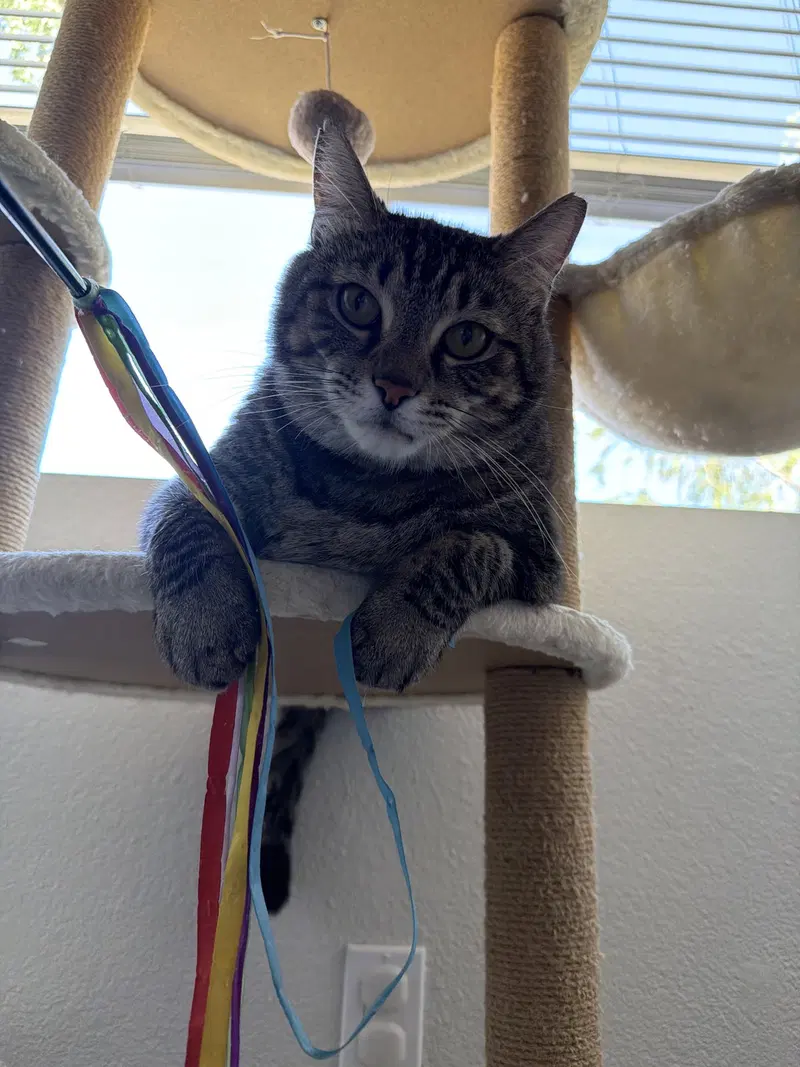 Momma, photo 2