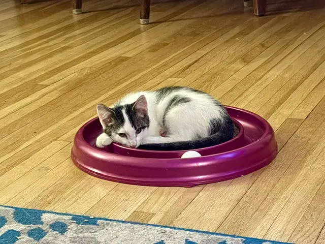 Bernie, photo 2