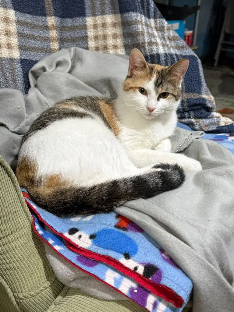 Penelope, photo 2