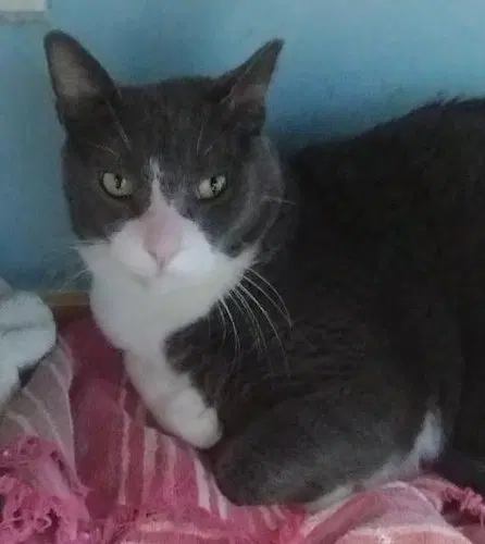 Neo, photo 2