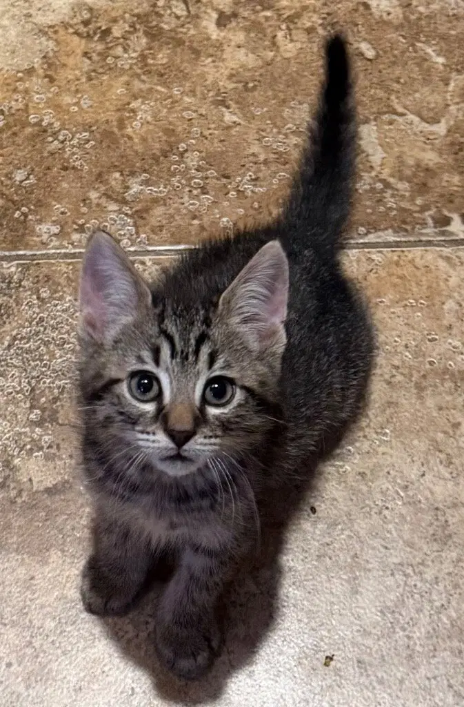Ezra, photo 3