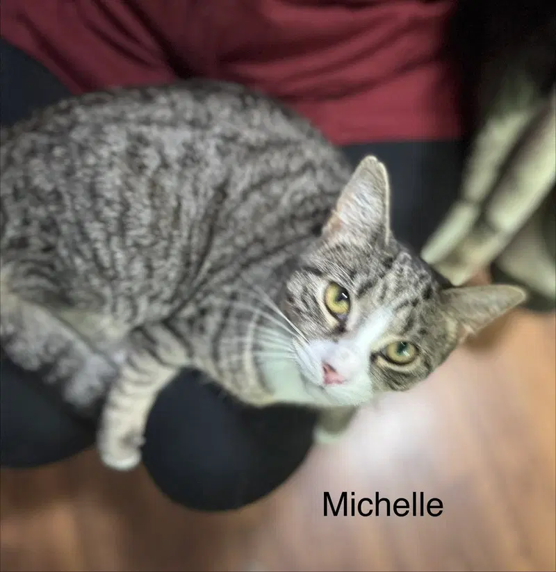 Michelle, photo 3
