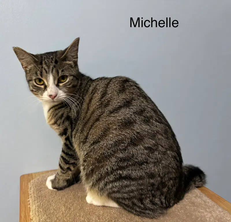 Michelle, photo 2