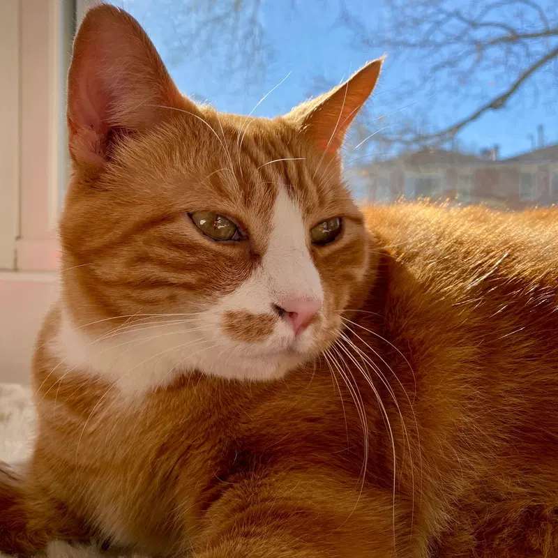 Hubby, photo 3