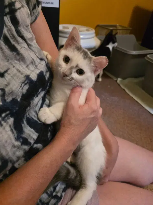 Zora, photo 2