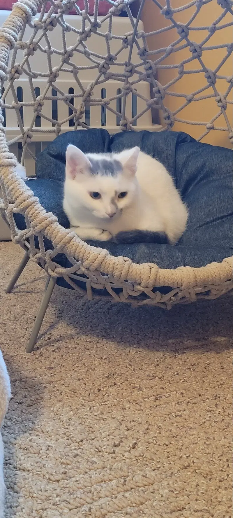 Zora, photo 3
