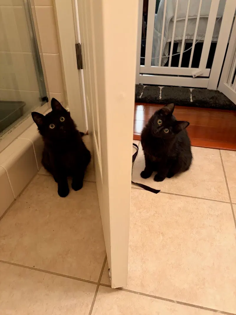 Sweetie and Squeakie, photo 6