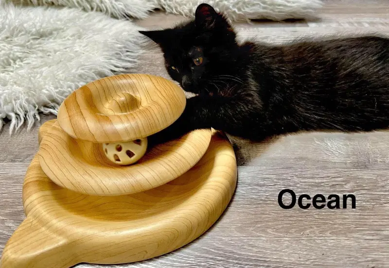 Ocean, photo 2