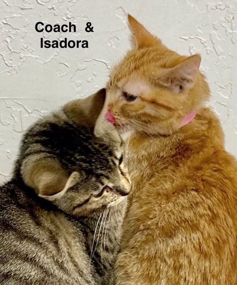 Isadora, photo 3