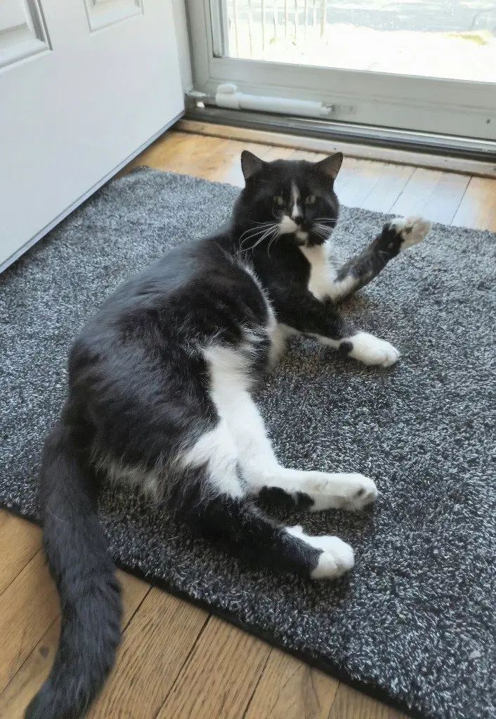 Carl, photo 3