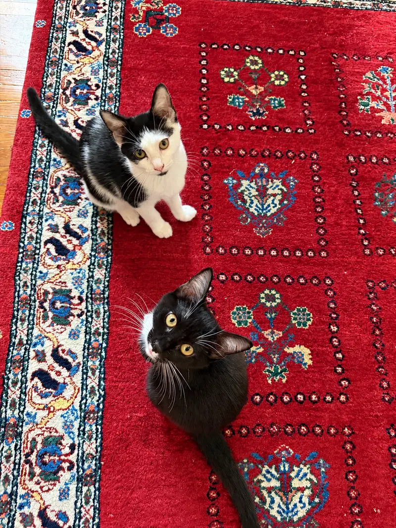 Minnow & Polliwog, photo 2