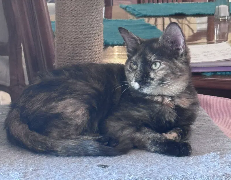 Sandy, photo 2