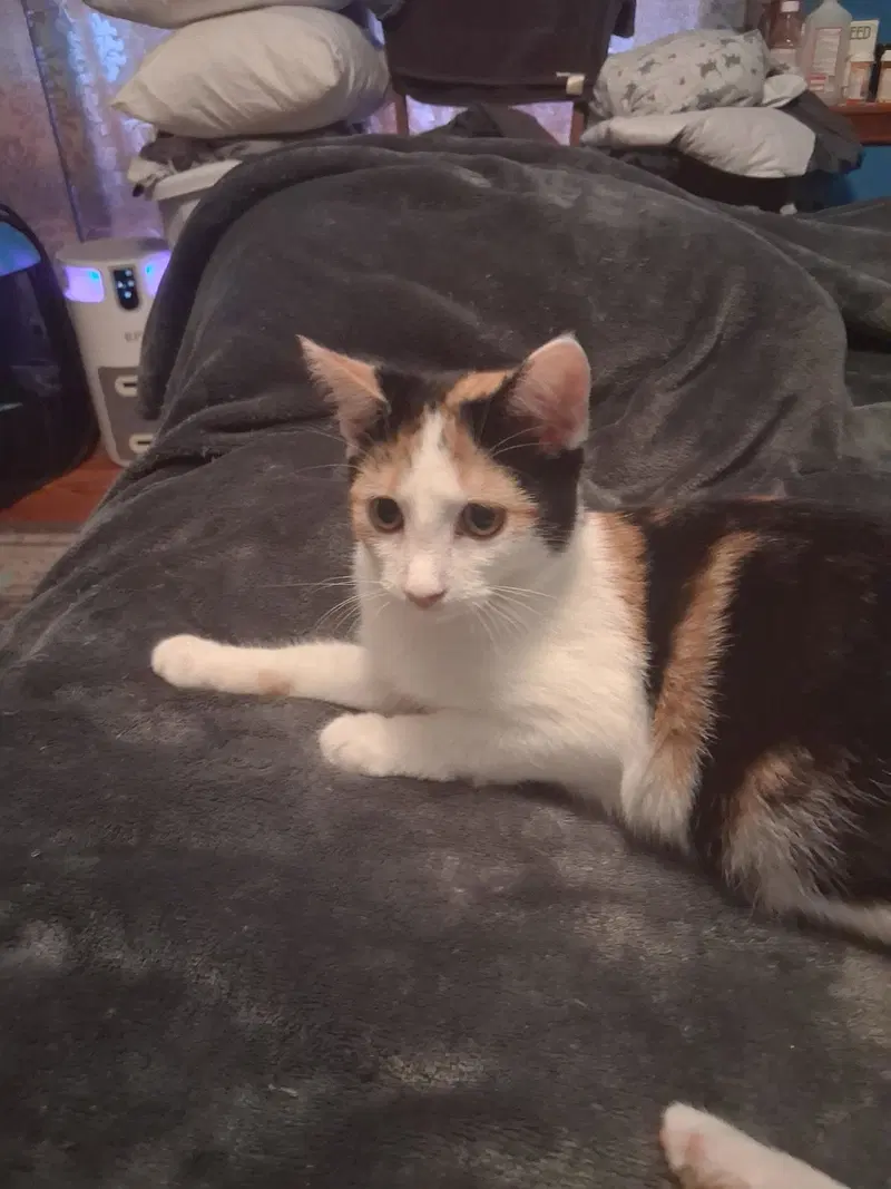 Patches bonded with Patrick, photo 2