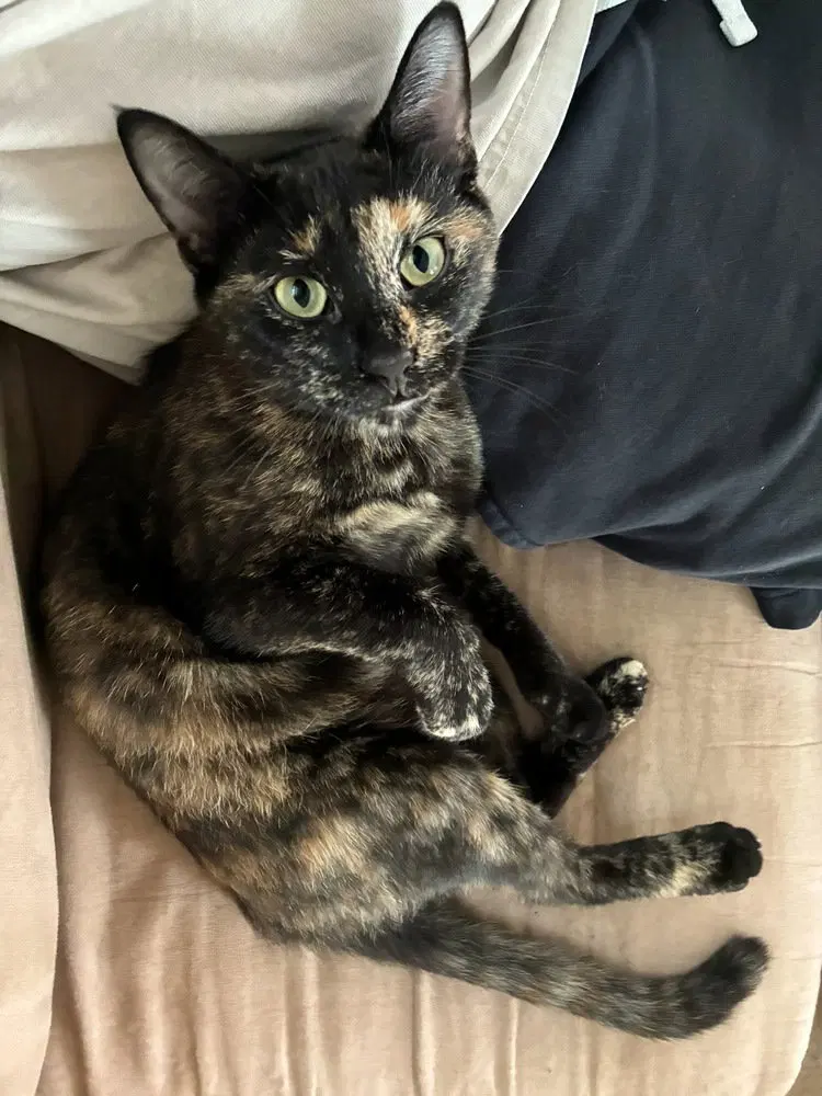 Cleo, photo 2